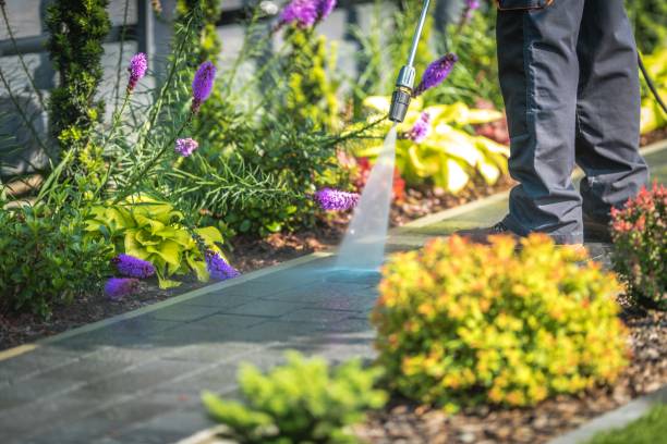 Professional Pressure Washing Services in Eastman, GA